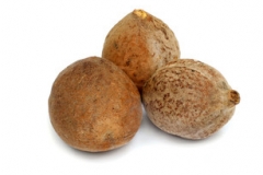 Baheda-fruit