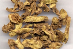Dried-roots-of-Baical-Skullcap