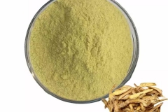Root-extract-of-Baical-Skullcap