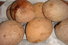 Bambangan-fruit