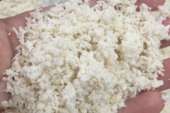 Seeds-of-Bambangan-grated