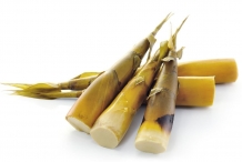 Bamboo-shoots