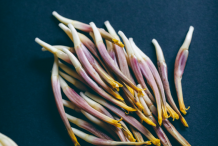 Individual-Banana-Flower-2