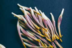 Individual-Banana-Flower-2