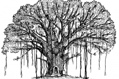 Sketch-of-Banyan-Tree