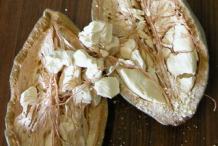 Half-cut-Baobab-fruit