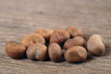 Seeds-of-Baobab-plant