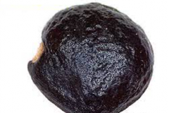 Seed-of-Barbados-gooseberry