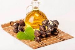 Barbados-nut-oil