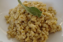 Cooked-Barley