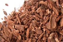 Bayberry-Root-bark