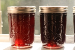 Beach-Plum-jam