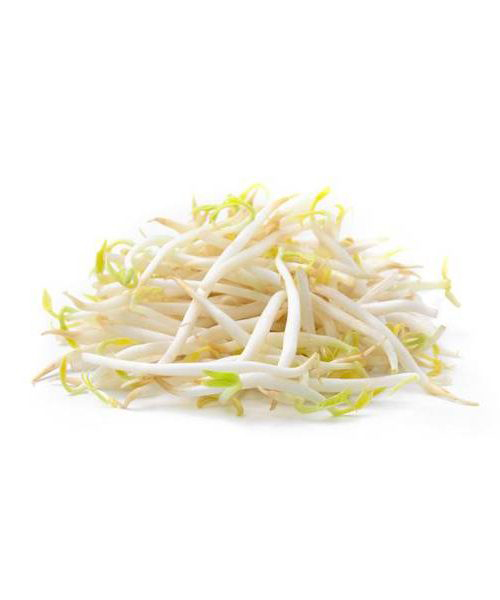 Bean-sprouts-2