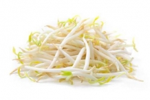 Bean-sprouts-2
