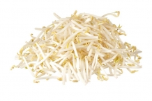 Bean-sprouts-3