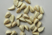 Beech-nuts-soaked-and-skinned