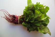 Baby-Beet-Greens