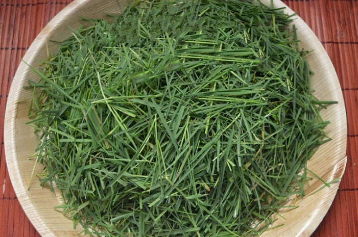 Chopped-Bermuda-Grass