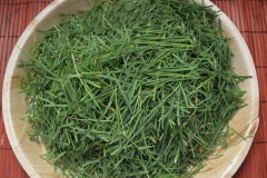 Chopped-Bermuda-Grass