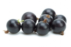 Black-currants-
