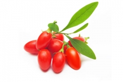Goji-berry