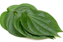 Betel-leaves