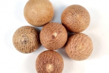 Betel-nuts