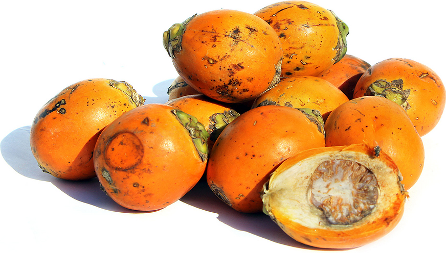 Betel-nuts-fruit-orange-Bu