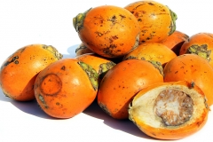 Betel-nuts-fruit-orange-Bu