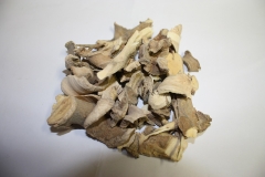 Clerodendrum-serratum-bark