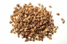 Dried-Bindii