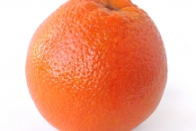 Bitter-orange-fruit