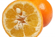 Half-cut-Bitter-orange