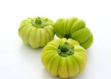 Immature-Bitter-Tomato