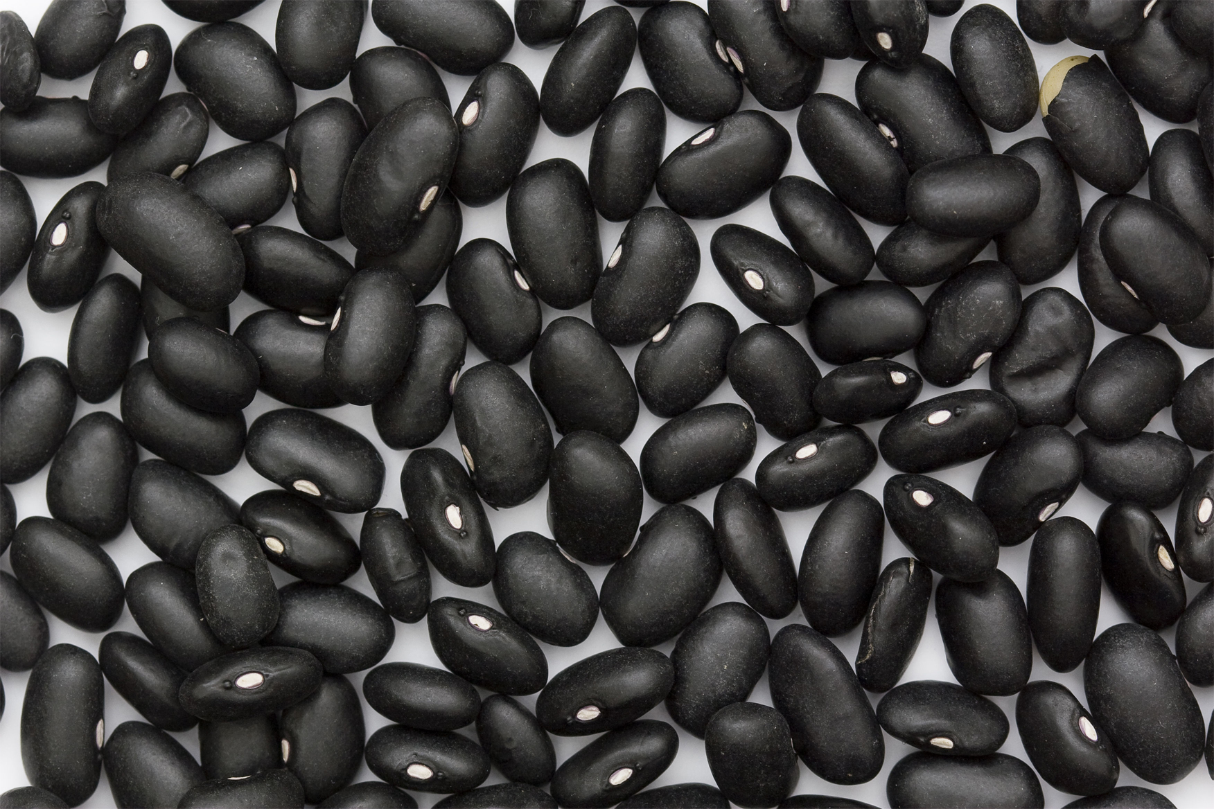 Black-bean-seeds