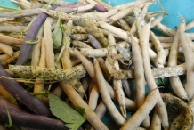 Dried-pods-of-Black-bean