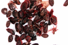 Black-currant-seeds-chop moi