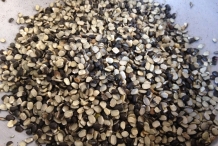 Black-gram- pulse (Dal)