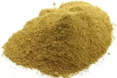 Black-Musli-powder