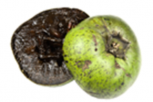 Half-cut-Black-Sapote