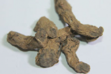Dried-Black-Turmeric