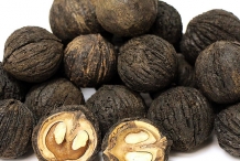 Black-walnuts