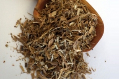 Dried-Black-willow