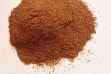 Bloodroot-powder