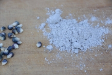 Blue-corn-kernels-and-flour