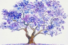 Sketch-of-Blue-Jacaranda