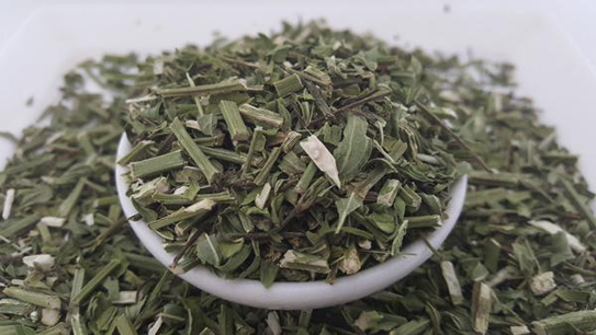Dried-Blue-vervain