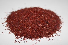 Seeds-of-Blueberries