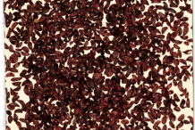 Bog-Bilberry-seeds