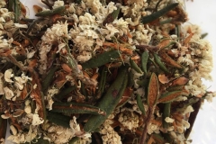 Dried-Bog-Labrador-Tea